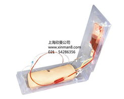 高級肘部靜脈穿刺訓(xùn)練模型——醫(yī)療護(hù)理實訓(xùn)的關(guān)鍵工具